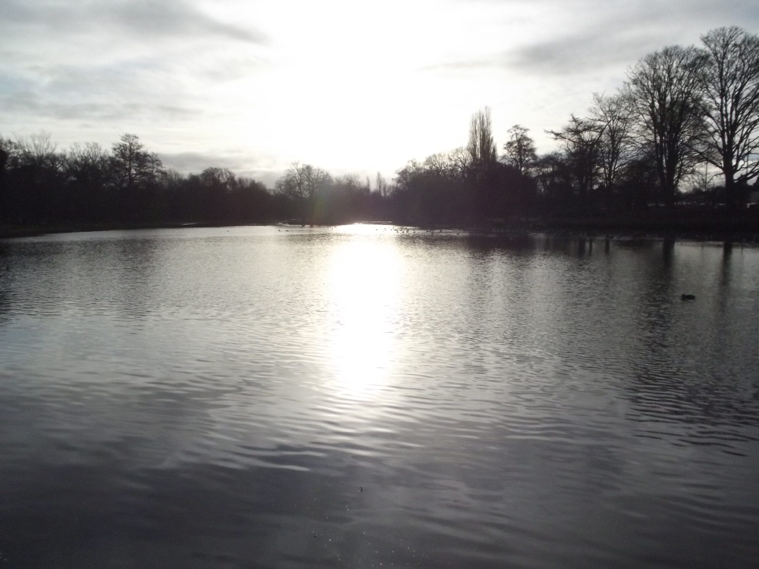 Trittiford Mill Pool in the morning