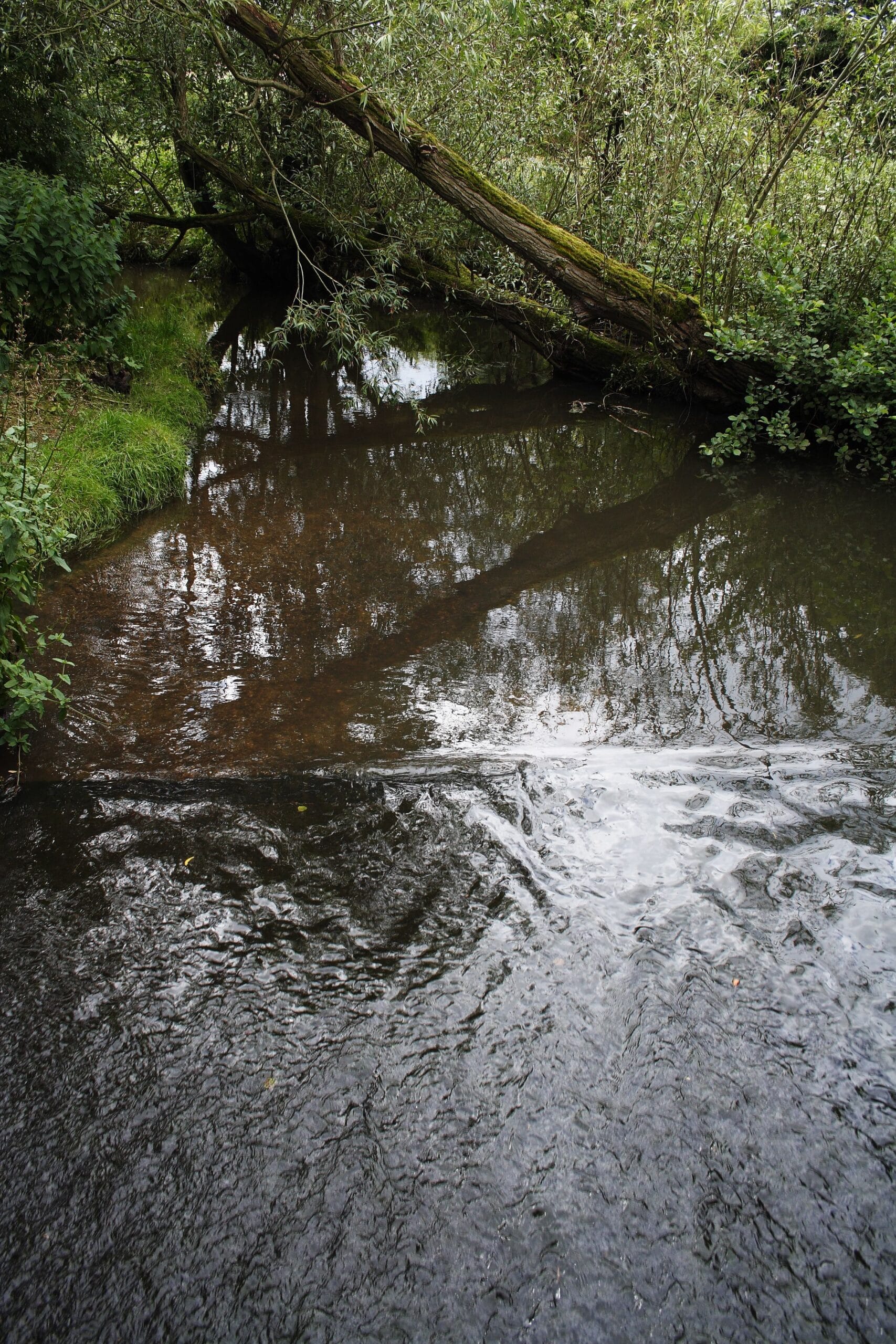 The Whyrl-Hole weir on the River Cole in the Dingles