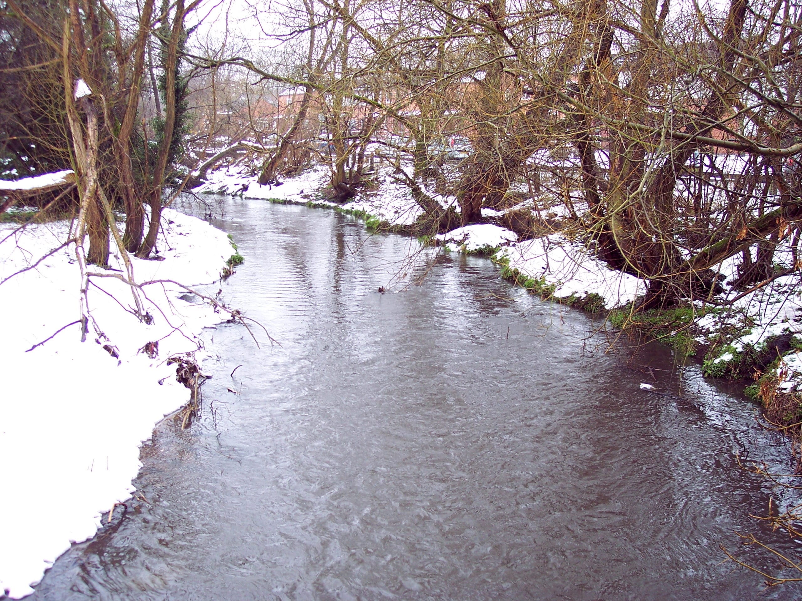 The River Cole in winter from the Brook Lane road bridge