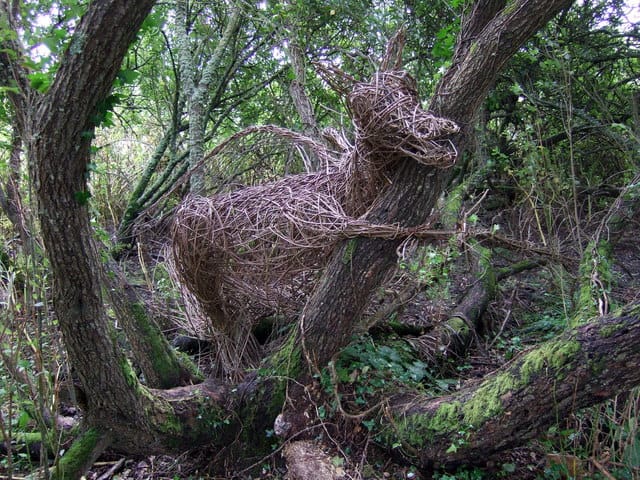 Here be dragons. A picture of a wicker dragon in woodland.
