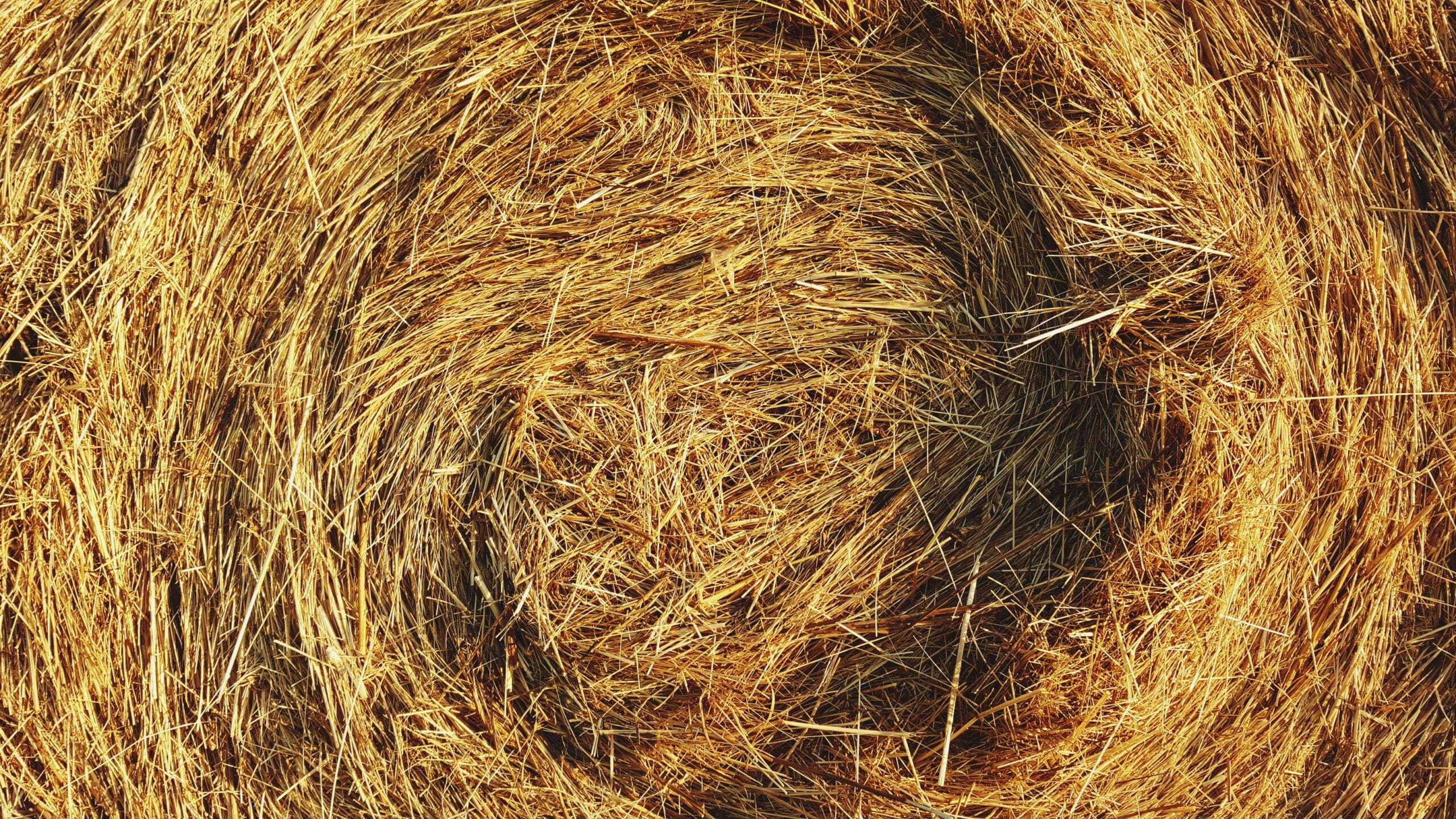 Haystack